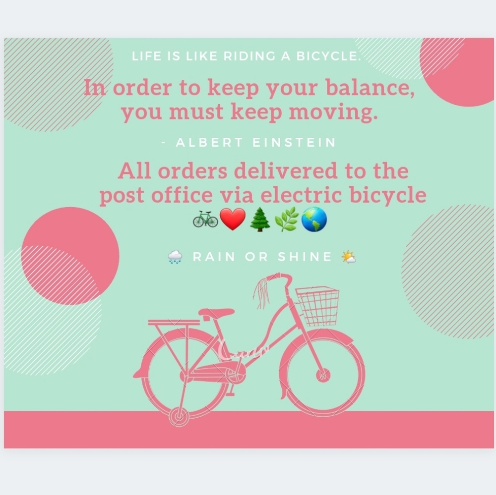 I use an electric bicycle as my main mode of transportation